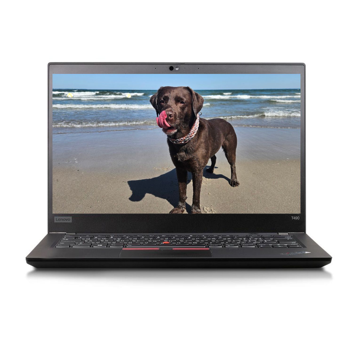 Lenovo ThinkPad T490, i5 (8.Gen), 14 Zoll, Full-HD, IPS, 8GB, 250GB NVMe, Webcam, Windows 11 Pro, Zustand: Gut