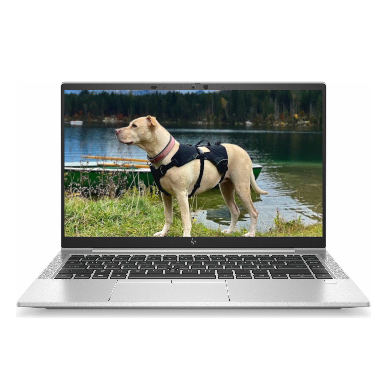 HP EliteBook 840 G7 i5 (10.Gen) FHD IPS, 16GB, 500GB NVMe,  beleuchtete Tastatur, Webcam, Windows 11 Pro, Zustand: Sehr Gut